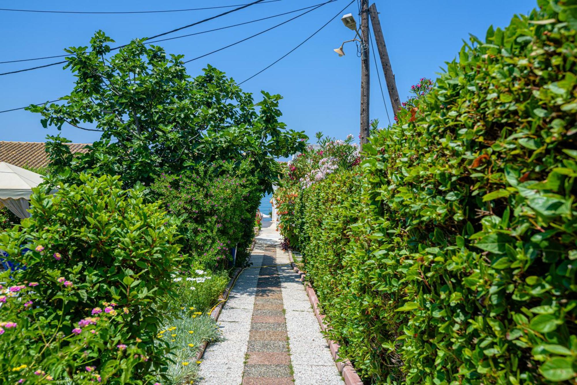 Elena'S Seaside Apartments & Studios Agios Gordios  Ngoại thất bức ảnh