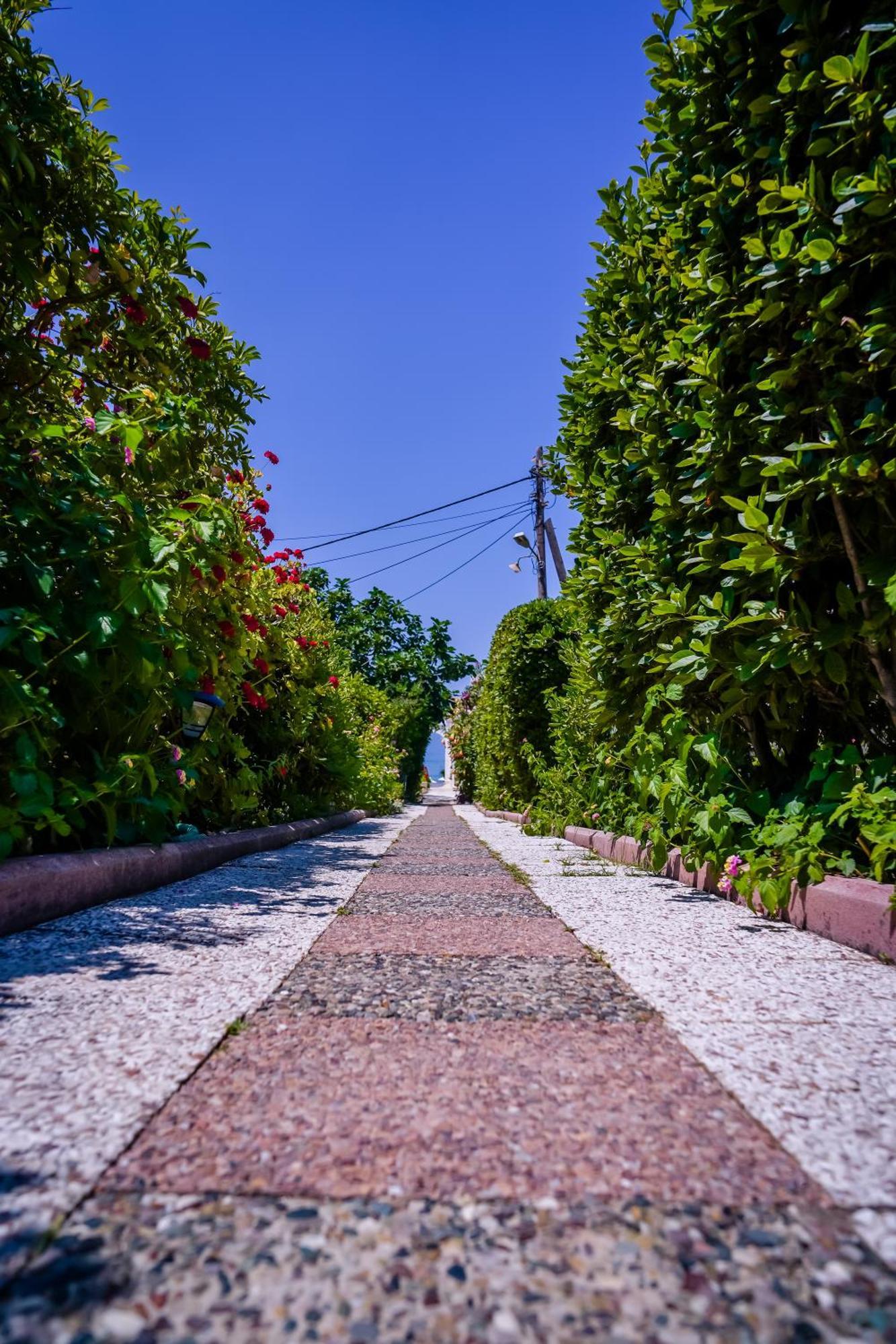 Elena'S Seaside Apartments & Studios Agios Gordios  Ngoại thất bức ảnh